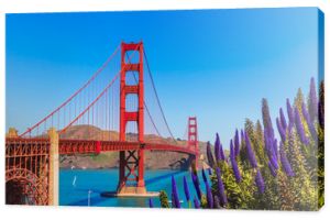 Golden Gate Bridge San Francisco fioletowe kwiaty Kalifornia
