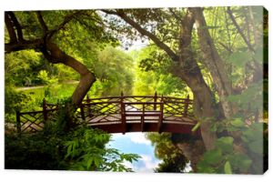 Romantyczny most kolonialny w Williamsburgu w Wirginii zanurzony w zielonym lesie z pięknym, odbijającym wodę stawem.