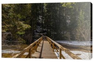 Drewniany most nad rzeką w lesie wiosennym 