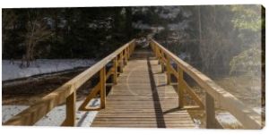 Drewniany most ze światłem słonecznym w wiosennym lesie, sztandar 