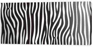 pasek zwierzę dżungla tekstura zebra wektor czarny biały nadruk tło bezszwowe powtórzenie