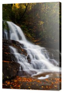 Laurel Falls jesienią - Góry Smoky