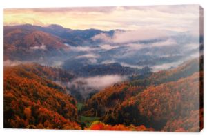 Malowniczy widok na zalesione Alpy o wschodzie słońca, niesamowity jesienny krajobraz z grzbietem górskim, kolorowymi drzewami, poranną mgłą i pochmurnym niebem, Jamnik, Słowenia. Tło podróży na świeżym powietrzu