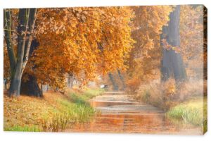 Kanał w parku z kolorowymi jesiennymi drzewami, jesień w słońcu