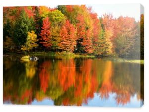 piękny jesienny krajobraz z jeziorem i kolorowymi drzewami 