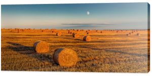 Spring panoramic scenery. Wonderful view on hay bales on the field after harvest under sunlight. Field Landscape with Rolls and perfect blue Sky. Agriculture Concept. Toned Photo with Copy Space.