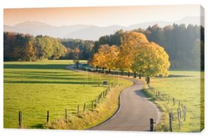 kręta droga kraju poprzez krajobraz jesienny