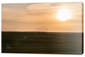 malowniczy krajobraz z skoszonym polem w zachodzie słońca na Ukrainie