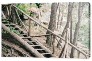 malownicze shot drewniane schody w spokojnym lesie