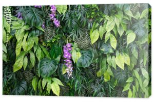 Tropical leaves and flowers background. Nature background of vertical garden with tropical green leaf
