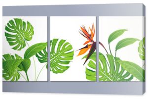 Set of three wall paintings, canvas for the living room. Poster element for interior design of a dining room, bedroom, office. Tropical summer background with flowers strelitzia and green leaves.  