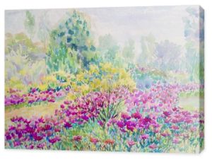 Malarstwo akwarela krajobraz kolorowy stokrotki kwiatów w Garde