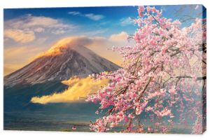 Góra Fuji i wiśniowe kwiaty na wiosnę, Japonia.