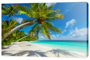 Odpocznij w raju - Malediwy - palmowa plaża, niebo i morze