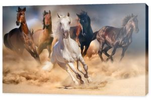 Stado koni biegnie w pustynnej burzy piaskowej przed dramatycznym niebem
