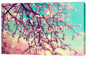 Vintage kwiat jabłoni przeciw błękitne niebo. Naturalne tło wiosna