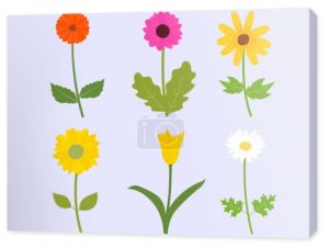Zestaw kolorowych kwiatÃ ³ w w sezonie wiosennym. Ilustracja wektora fla