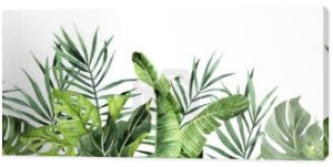 Rysunek akwareli. pozioma bezszwowa granica z liśćmi tropikalnymi. sztandar z zielonymi liśćmi palmy, monstera