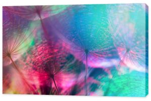 Kolorowe pastelowe tło - żywy abstrakcyjny kwiat mniszka lekarskiego