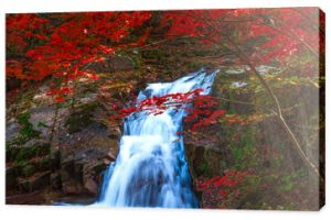 Liście zmieniają kolor i wodospad w parku narodowym Seoraksan w Korei Południowej.