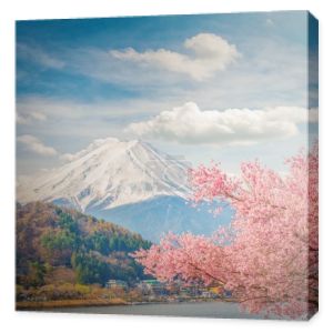 Góra fuji w sakura kwiat wiosna wiśnia