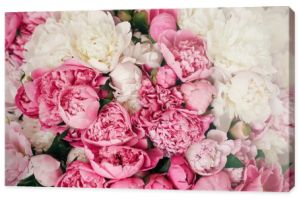 Piwonie tapeta wzór. Duże stylowe piwonia różowy i biały bukiet z bliska. Szczęśliwy dzień matki. Walentynki. Koncepcja zapach zapach. Międzynarodowy Dzień kobiet.