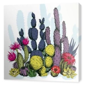 Kolorowe kaktusy z kwiatami. Ręcznie rysowane wektor na białym tle.