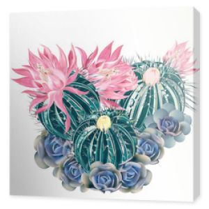 Ilustracja, nadruk na koszulce z różowym kwitnącym kaktusem i niebieskimi sukulentami