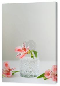 fasetowe szkło z wodą w pobliżu różowych kwiatów alstroemerii na białej powierzchni odizolowane na szarości