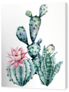 Kaktusy, ręcznie rysowane ilustracja kwiat akwarela. Rośliny idealne na naklejki z motywami kwiatowymi, kartkę z życzeniami, blog, stronę, baner, zaproszenie na ślub. Na białym tle. Kolekcja kaktusów.