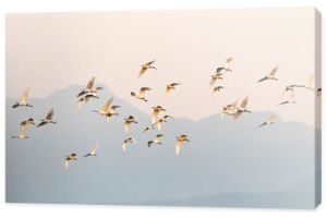 bocian, białe ptaki latające nad niebem z górskim krajobrazem