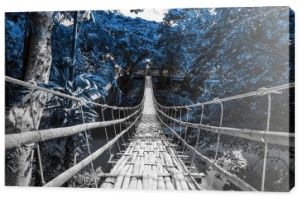 Fotografia czarno-biała z niebieskim akcentem - Most
