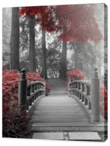 fotografia czarno-biała z czerwonym akcentem - Most w parku