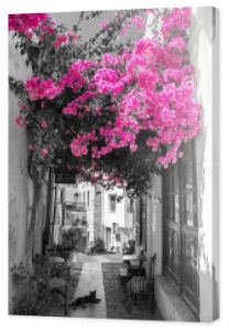 Fotografia czarno-biała z różowym akcentem - Grecka uliczka z kotem