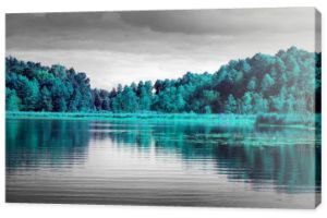 Fotografia czarno-biała z turkusowym akcentem - Drzewa nad jeziorem