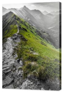 Fotografia czarno-biala z zielonym akcentem - Polskie góry