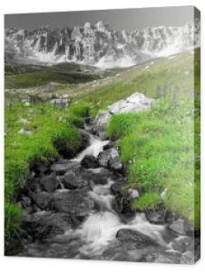 Fotografia czarno-biała z zielonym akcentem - Rzeka w górach