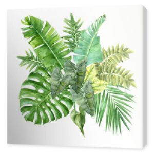 Akwarela tropikalne liście