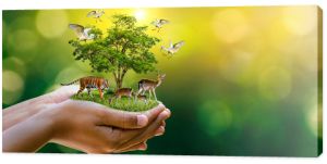 Koncepcja Rezerwat przyrody Rezerwat przyrody Tygrys Jeleń Globalne ocieplenie Żywność Bochenek Ekologia Ludzkie ręce chroniąc dzikie i dzikie zwierzęta Tygrysy Jelenie, drzewa w rękach zielone tło Światło słoneczne