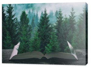 Mglistych Karpat świerkowego lasu po deszczu na stronach otwartej książki magiczne. Majestatyczny krajobraz. Koncepcja przyrody i edukacji.